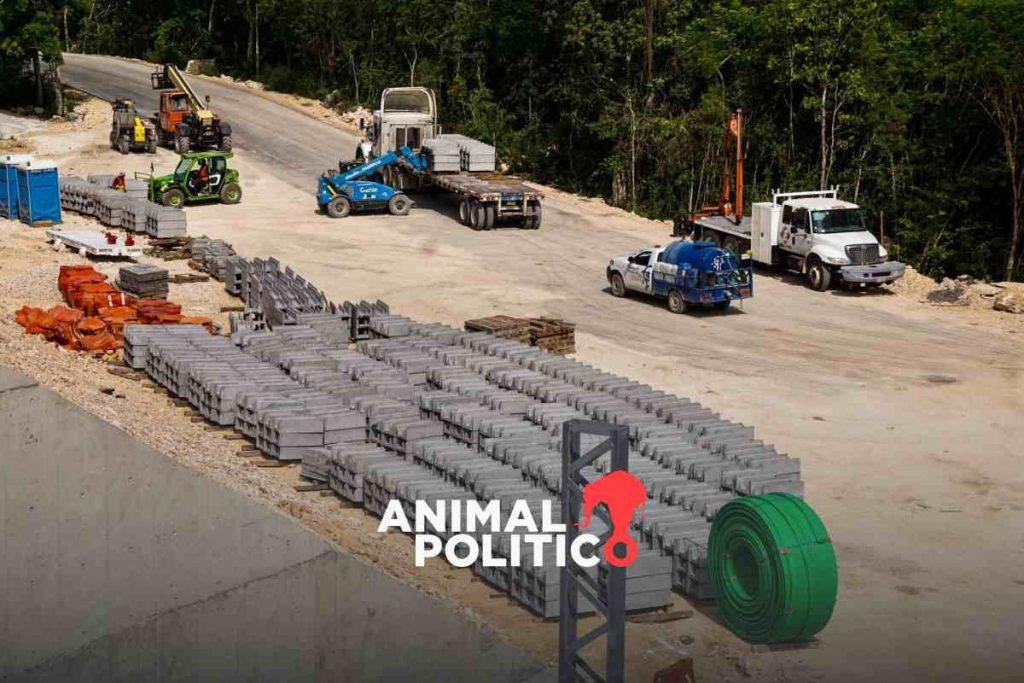 Tren Maya: Activistas fueron retenidos por intentar llevarse aserrín procesado con árboles talados en tramo 5