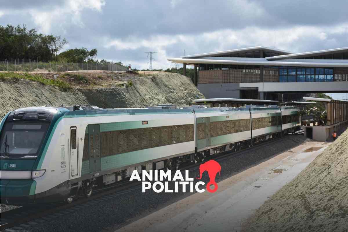 Tren Maya: pagos en exceso, sin vigilancia ambiental y con más de 700 mdp por aclarar ante la ASF
