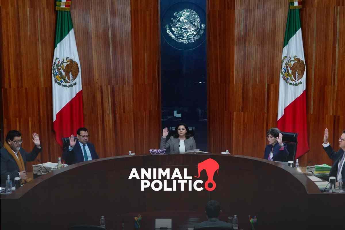 Tribunal Electoral confirma que no se investiguen los casos ‘Pacto Coahuila’ y Notimex