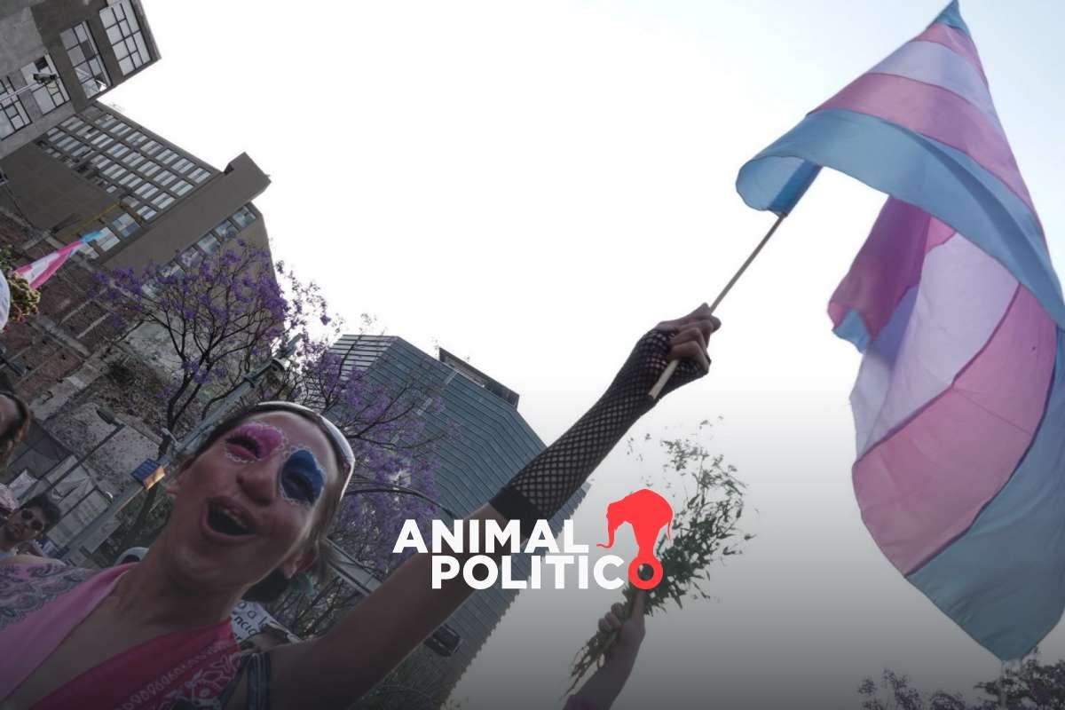 Yucatán aprueba iniciativa para reconocer la identidad de género; suman 22 estados que lo avalan