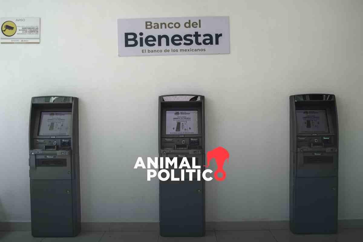 Empresa coreana que regaló bate de béisbol a AMLO incumple contratos para instalación de cajeros de Banco de Bienestar