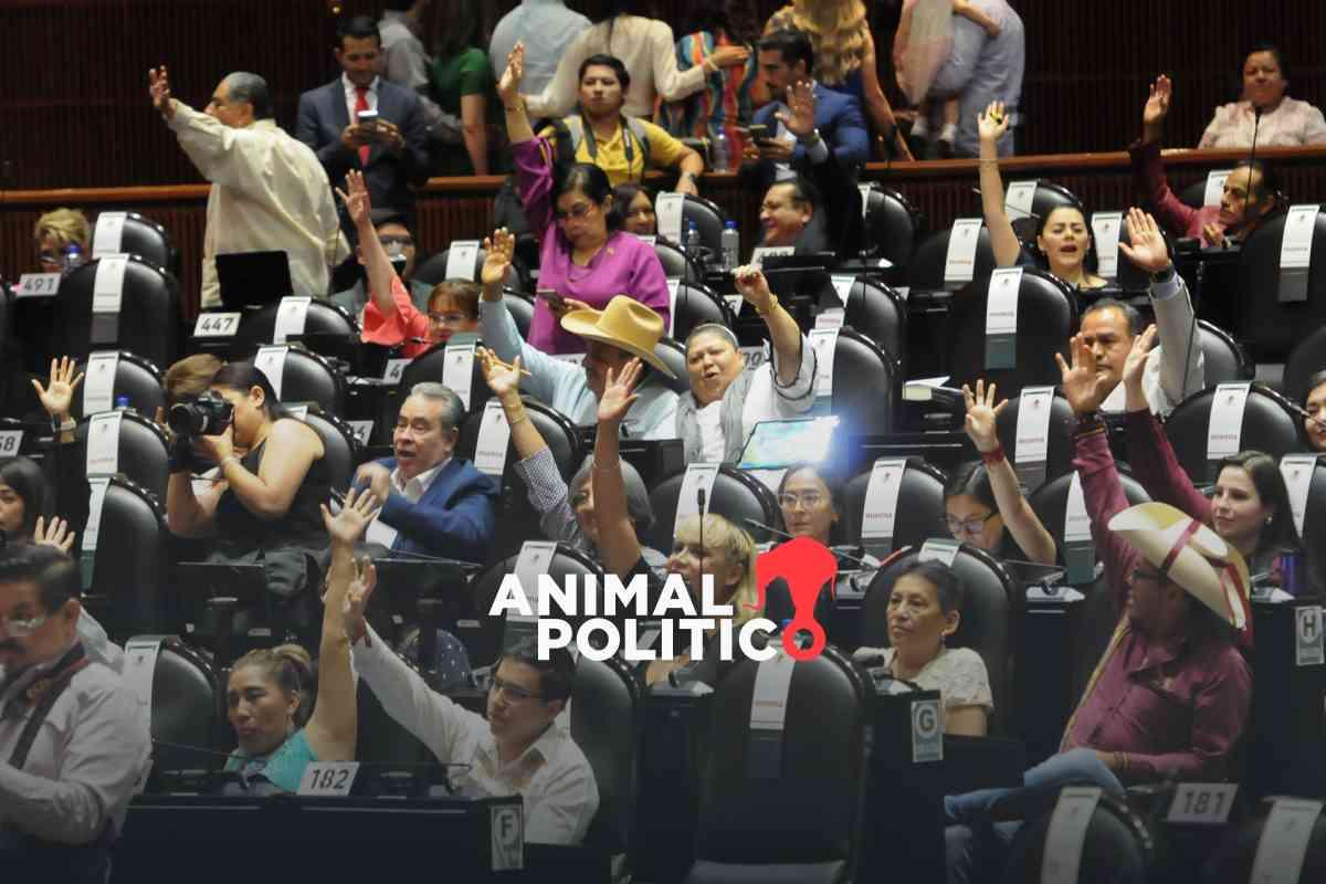 Leyes de Amparo y de Amnistía avanzan en Comisión de Justicia en la Cámara de Diputados