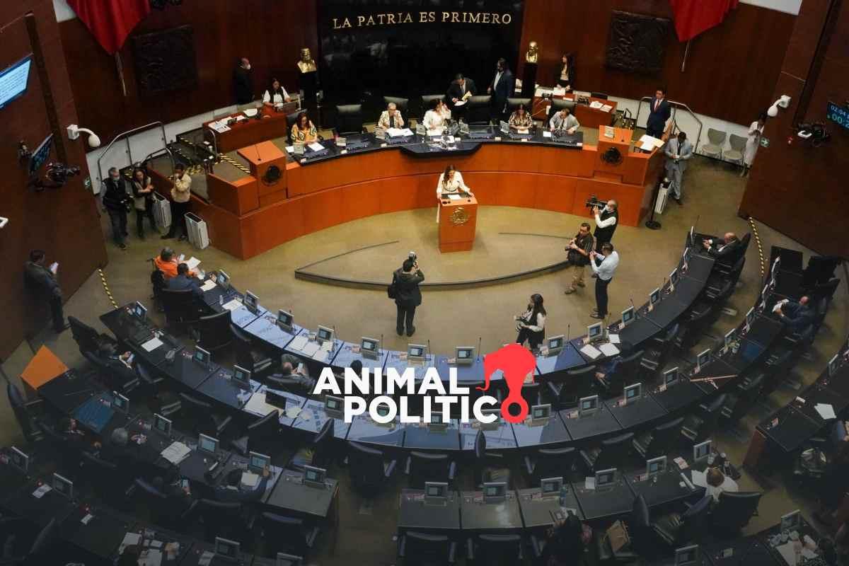 Comisiones del Senado avalan reforma de Morena para evitar que se suspendan normas y obras públicas