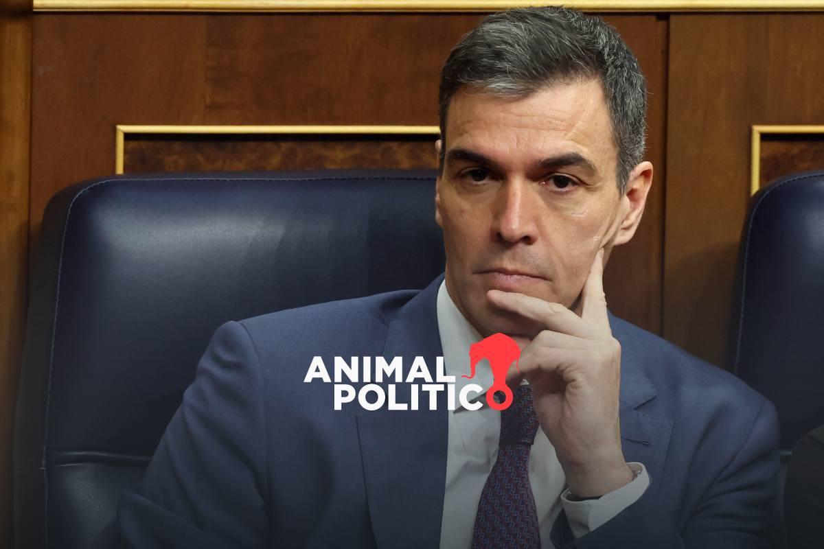 Pedro Sánchez evalúa renunciar como presidente de España, tras denuncia de corrupción contra su esposa