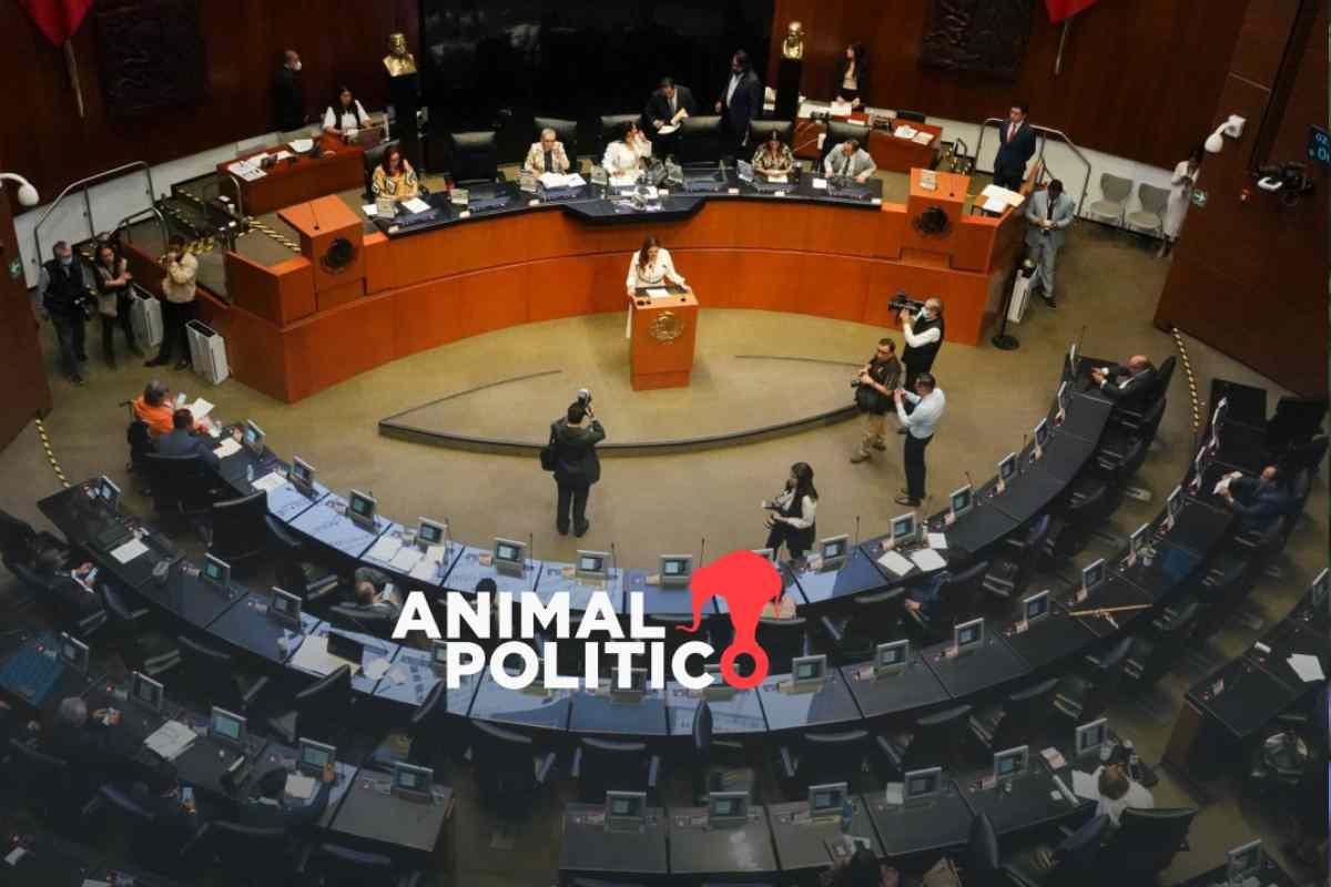 Ley de Amparo: lo que debes saber de las reformas avaladas en el Senado