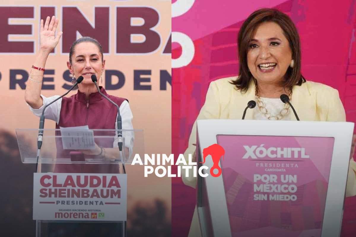 A dos días del debate, Sheinbaum registra 49% de preferencia electoral y Gálvez 32%, según encuesta