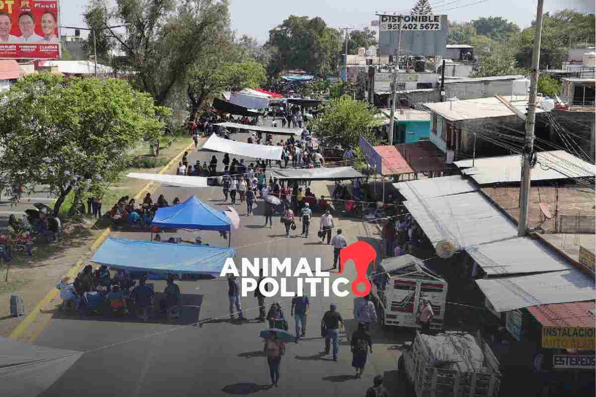 Integrantes de la CNTE y SNTE protestan en CDMX, Oaxaca, Chiapas y Michoacán para exigir solución a sus demandas