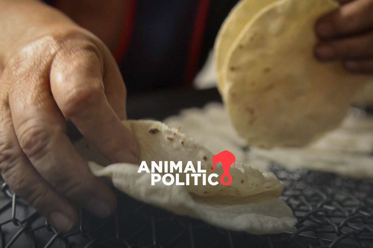 Crimen organizado en México extorsiona a sinfín de negocios; productores de tortilla, entre los más afectados: The Washington Post.