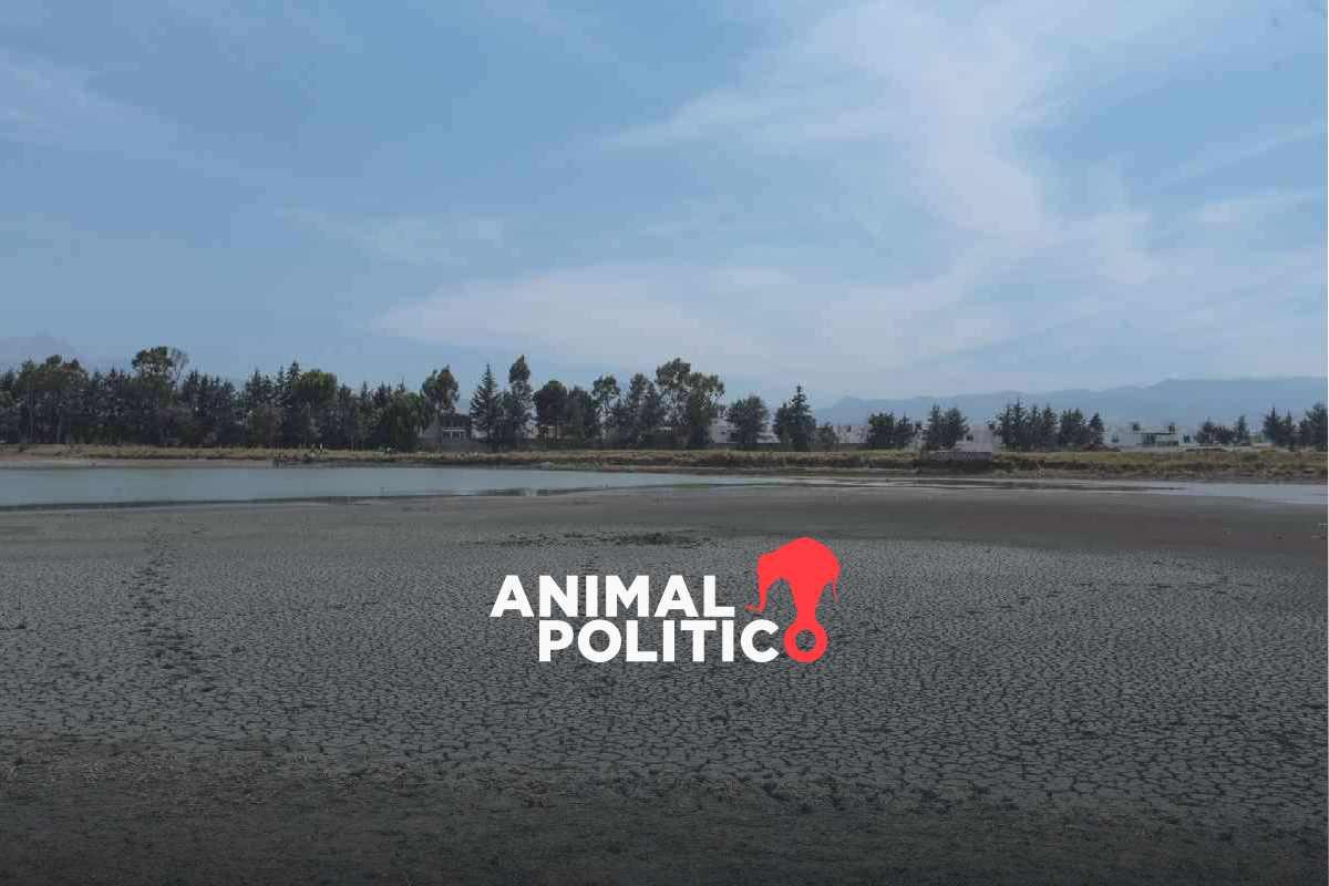 El 70.76% del país está en condiciones de sequía; segunda ola de calor agravó el problema en mayo, advierte Conagua