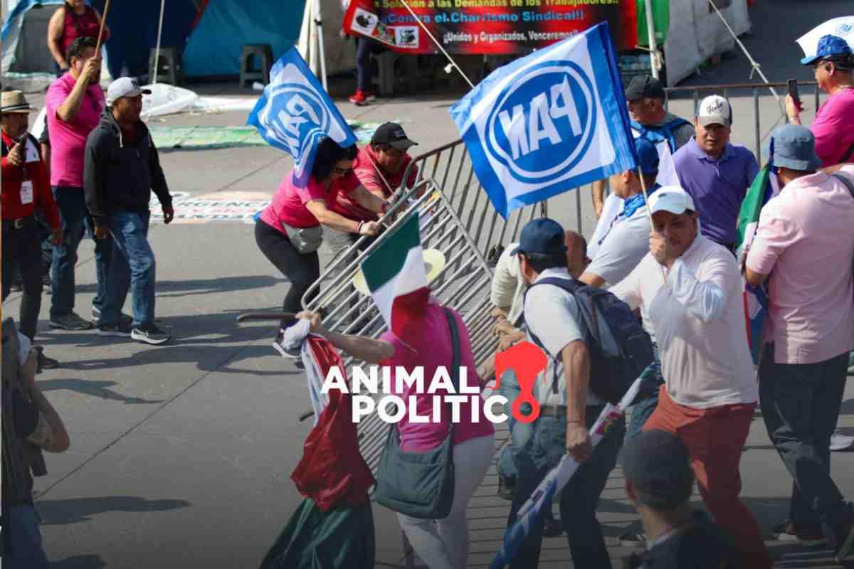 CNTE denuncia agresiones por parte de la "Marea Rosa"; hay 6 maestros lesionados