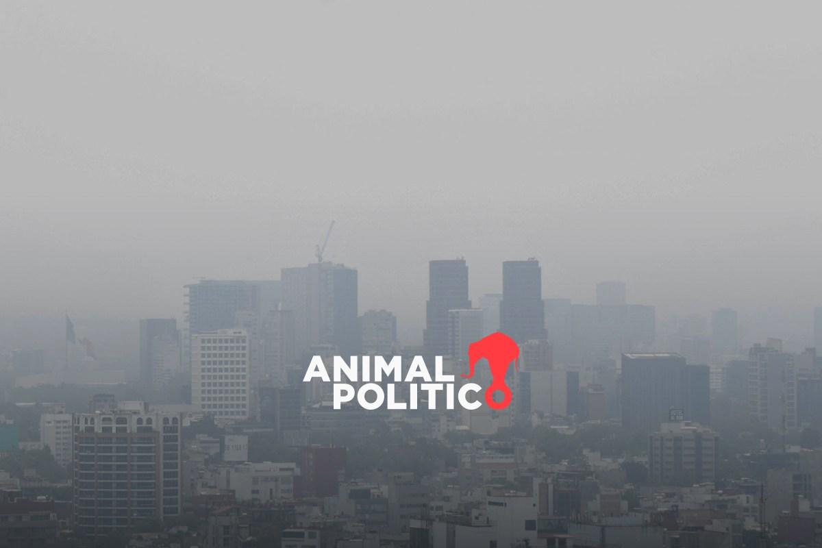 Continúa la contingencia ambiental, estos son los autos que no circulan el 15 de mayo