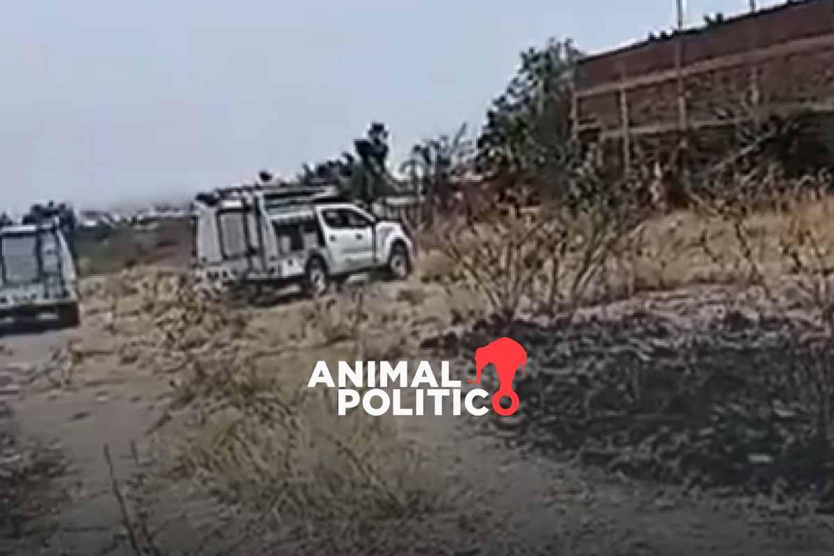 21 cuerpos localizados en fosa clandestina de Abasolo, Guanajuato; el hallazgo más grande de 2024