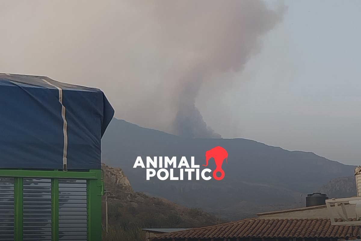 Comunidades de Oaxaca exigen apoyo de autoridades para sofocar incendio forestal que avanza hacia cuevas históricas