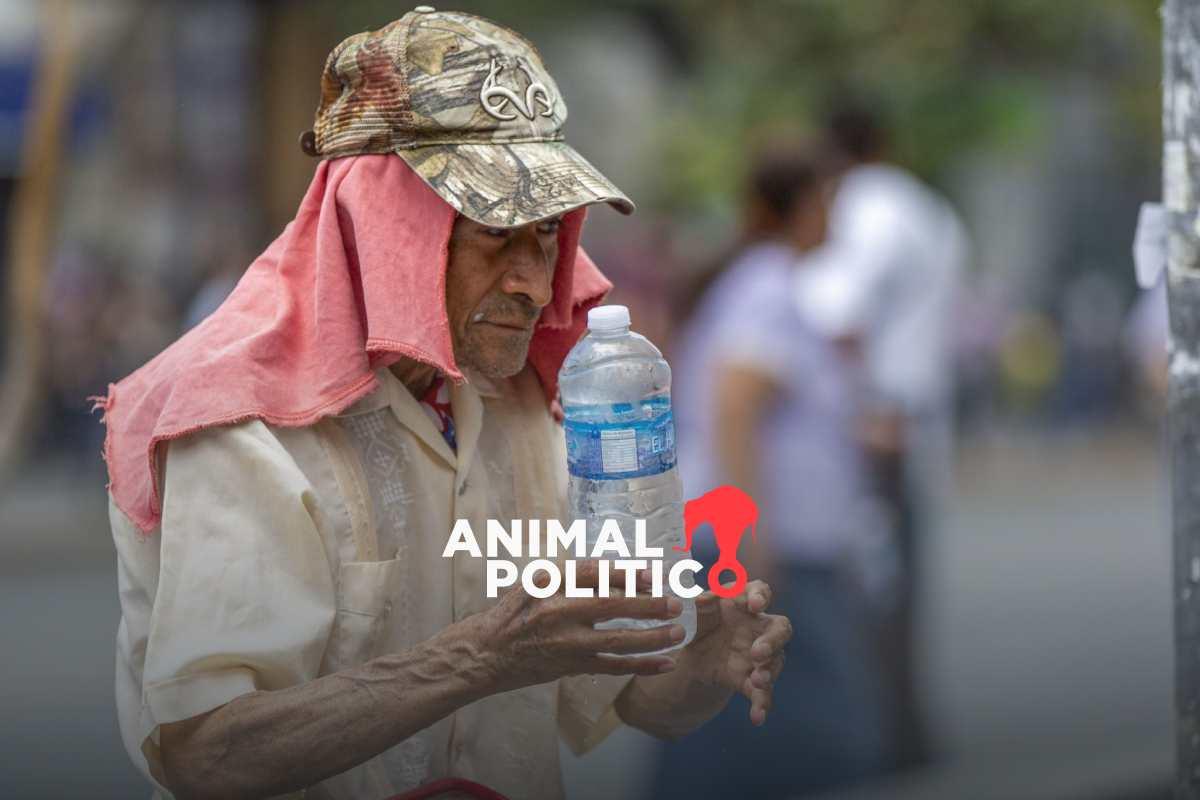 IMSS confirma cuatro muertes por golpe de calor en San Luis Potosí