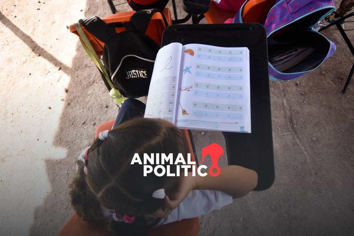 ONG obtiene suspensión definitiva para que México realice la prueba PISA en 2025