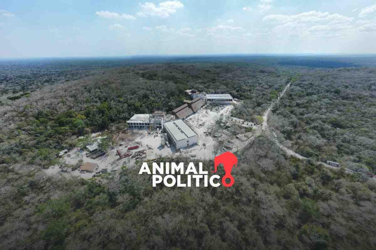 En la ruta del Tren Maya, Sedena construye hotel en Calakmul, Campeche, y lo oculta hasta a UNESCO