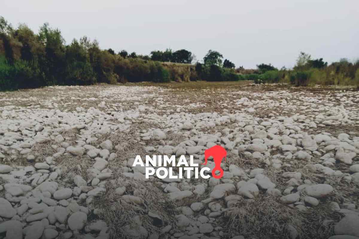 Declaran emergencia para Huejutla, Hidalgo, por falta de agua; los dos principales ríos están secos