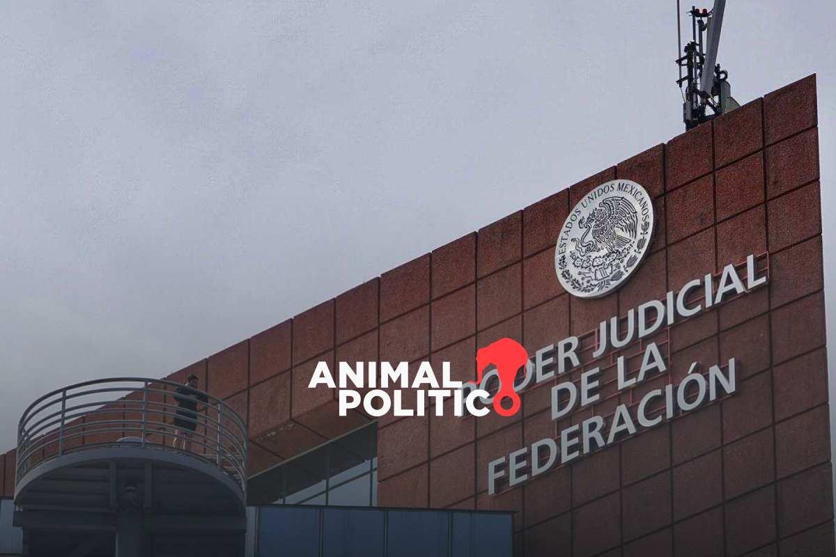 Judicatura Federal busca participar en diálogo convocado por Sheinbaum sobre reforma judicial