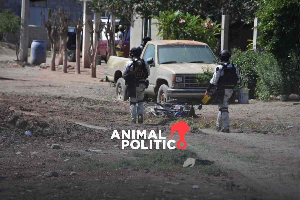 Gobierno de Sinaloa confirma 7 muertos en enfrentamiento donde murió el presunto operador de Los Chapitos