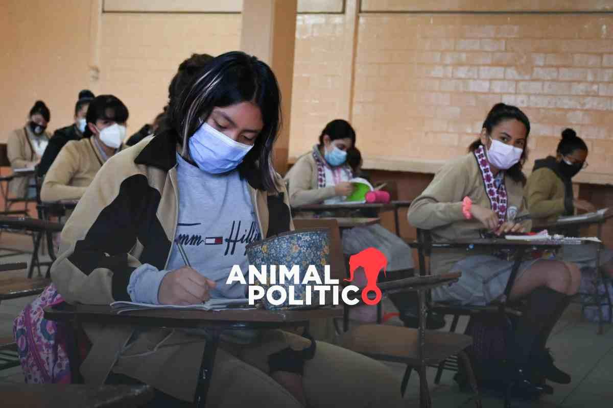 México está en riesgo de quedar sin evaluación educativa si pasa reforma de AMLO para desaparecer la Mejoredu