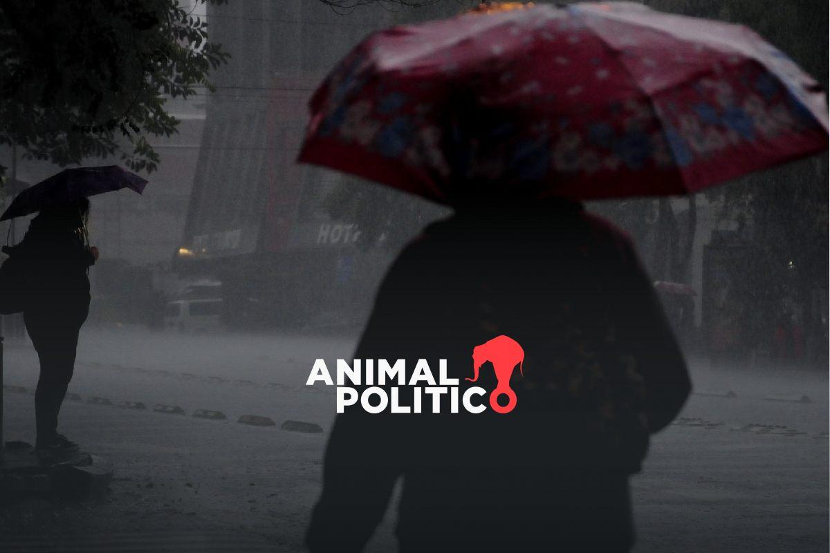 Pronostican lluvias intensas del 13 al 20 de junio en estos estados; piden extremar precauciones