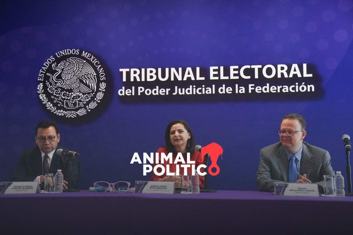 INE entrega a Tribunal Electoral ocho juicios contra la elección presidencial