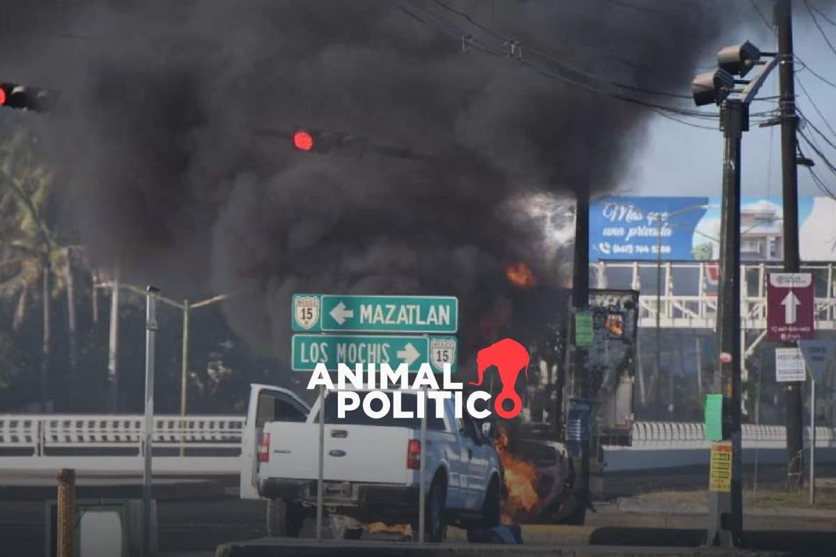 Cártel de Sinaloa continuará dominando el mercado de fentanilo, pese a detención de “El Mayo”