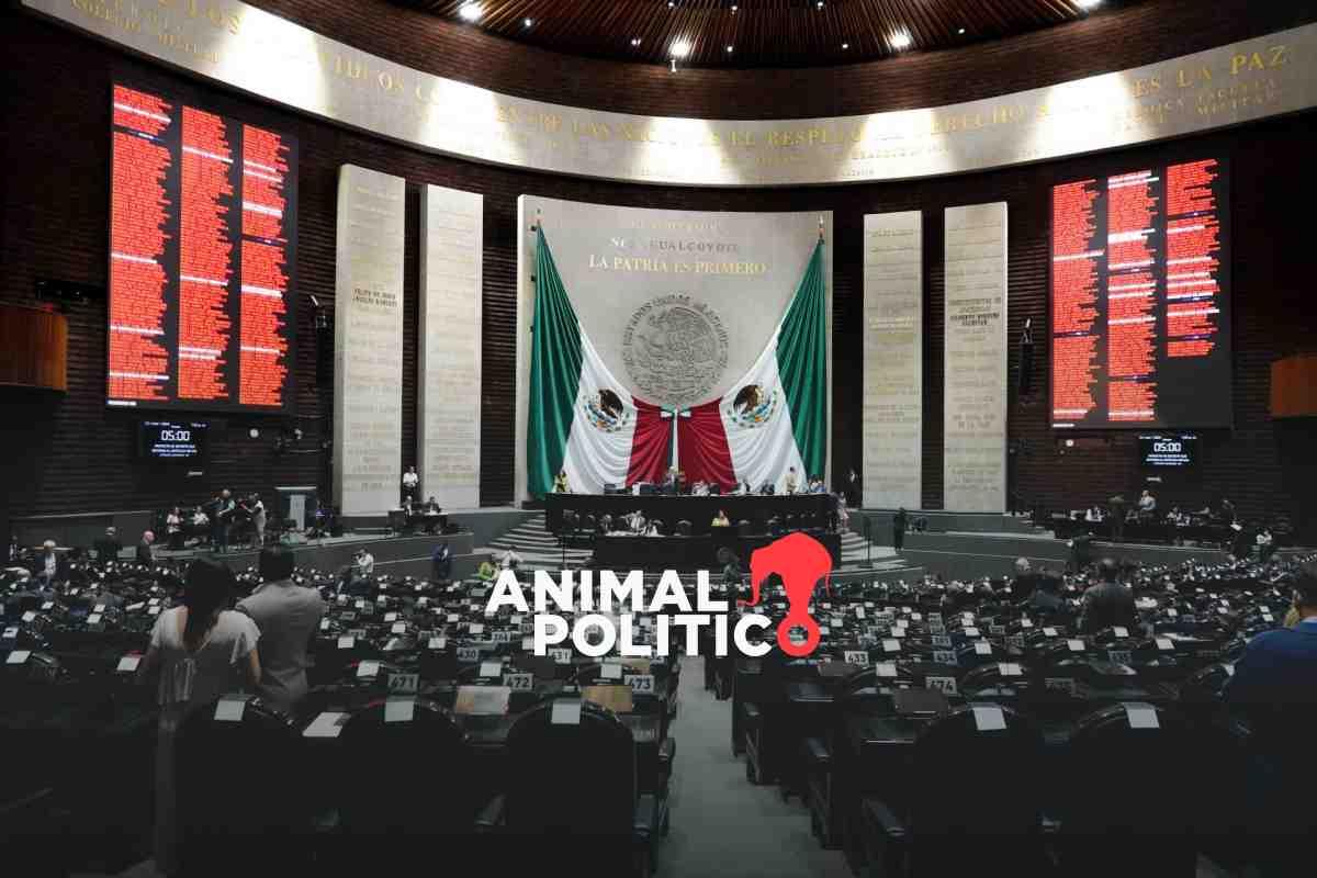 Diputados tienen listo dictamen para discutir desaparición de siete organismos autónomos como INAI