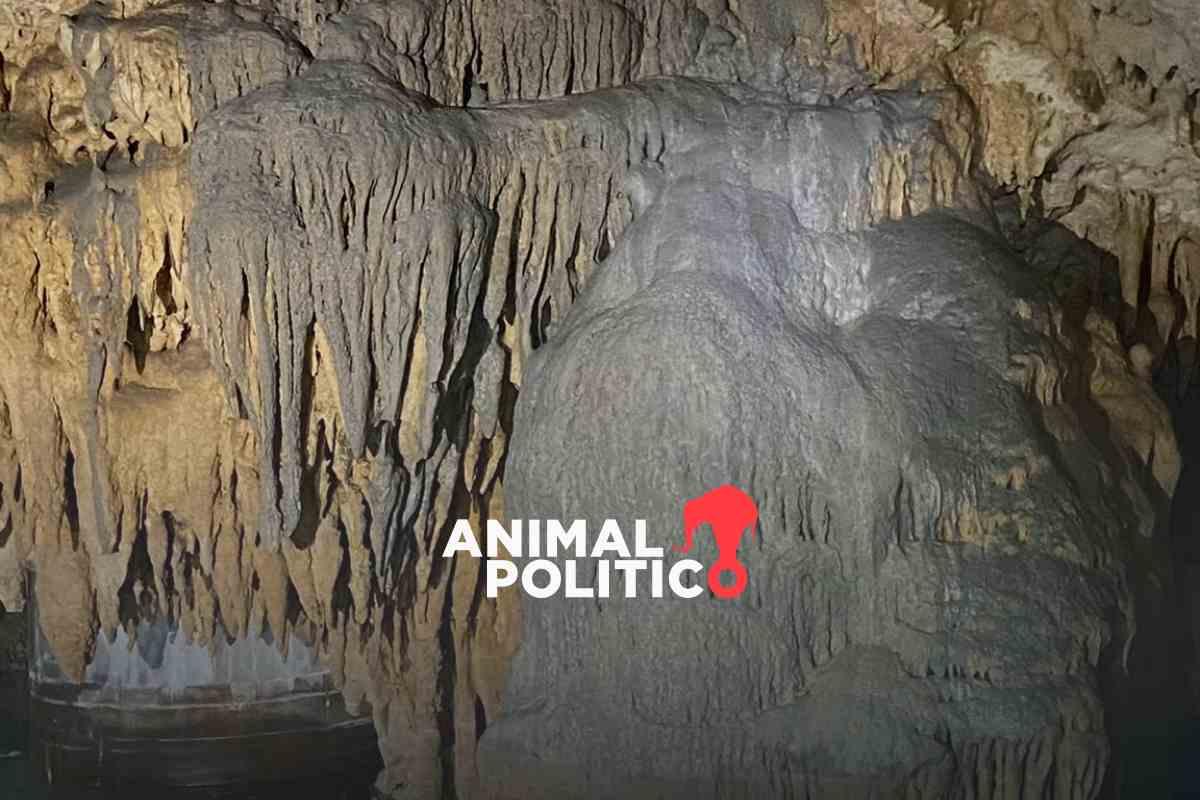Tren Maya: activistas reportan derrame de diésel y concreto en cavernas por obras del tramo 5 en Quintana Roo