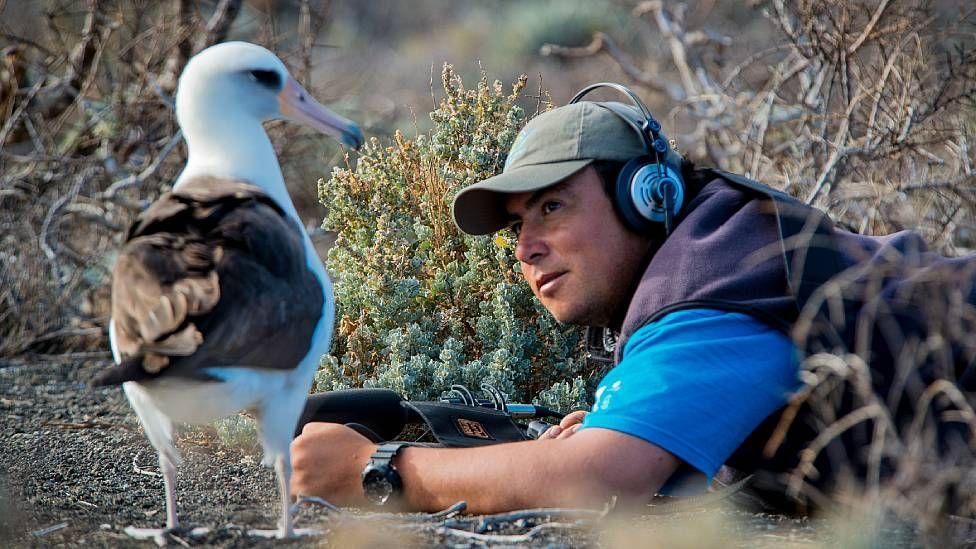 Julio Hernández, el científico mexicano premiado por National Geographic por su labor con los albatros