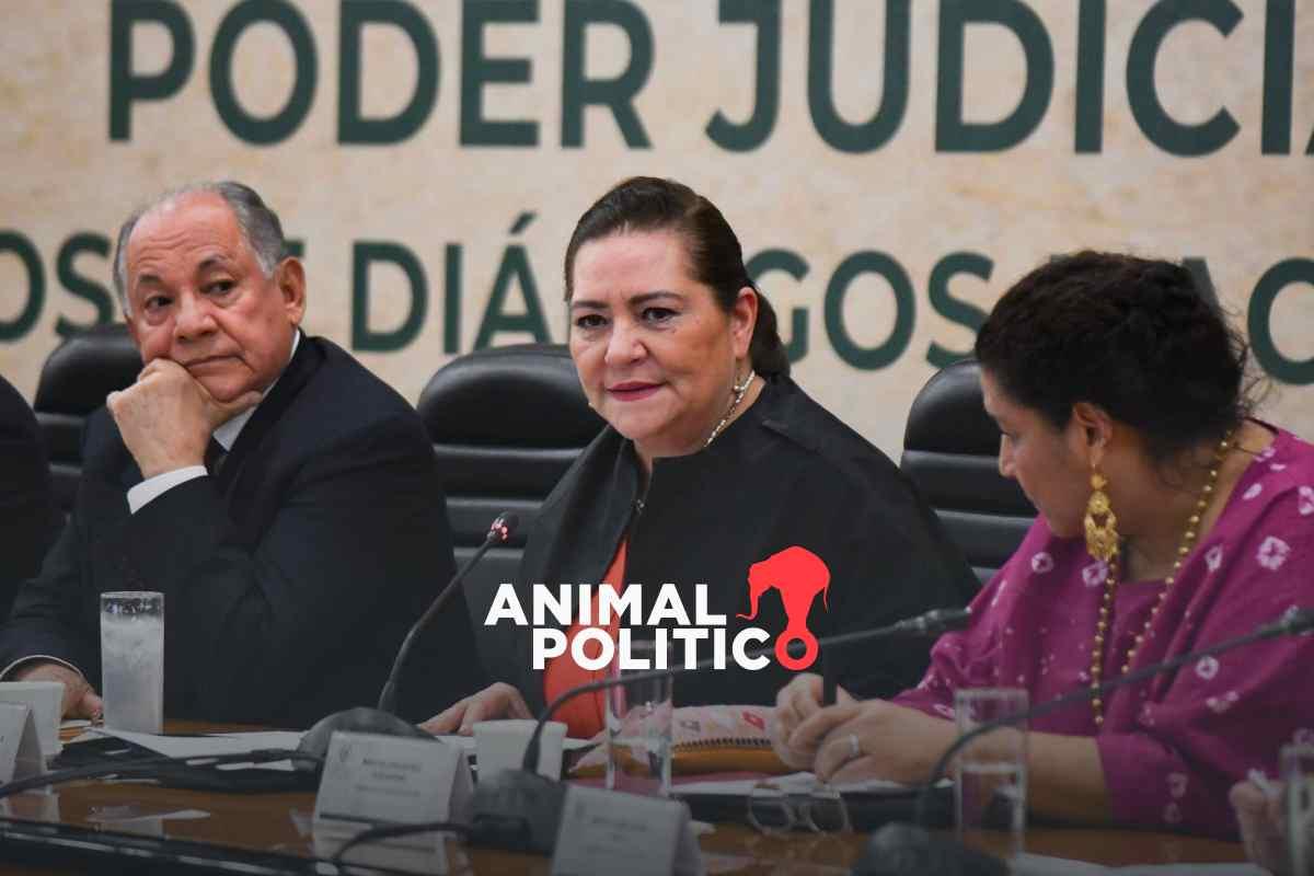 Elección de jueces y ministros podría costar lo mismo que los comicios ...