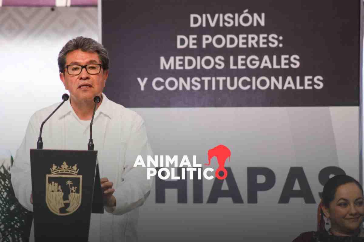 Morena contempla comités de evaluación en reforma judicial para garantizar buen nivel de aspirantes