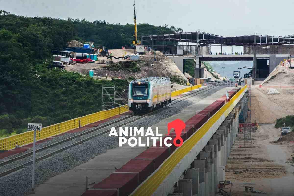Construcción del Tramo 7 del Tren Maya sigue pese a suspensión judicial y denuncia de desacato