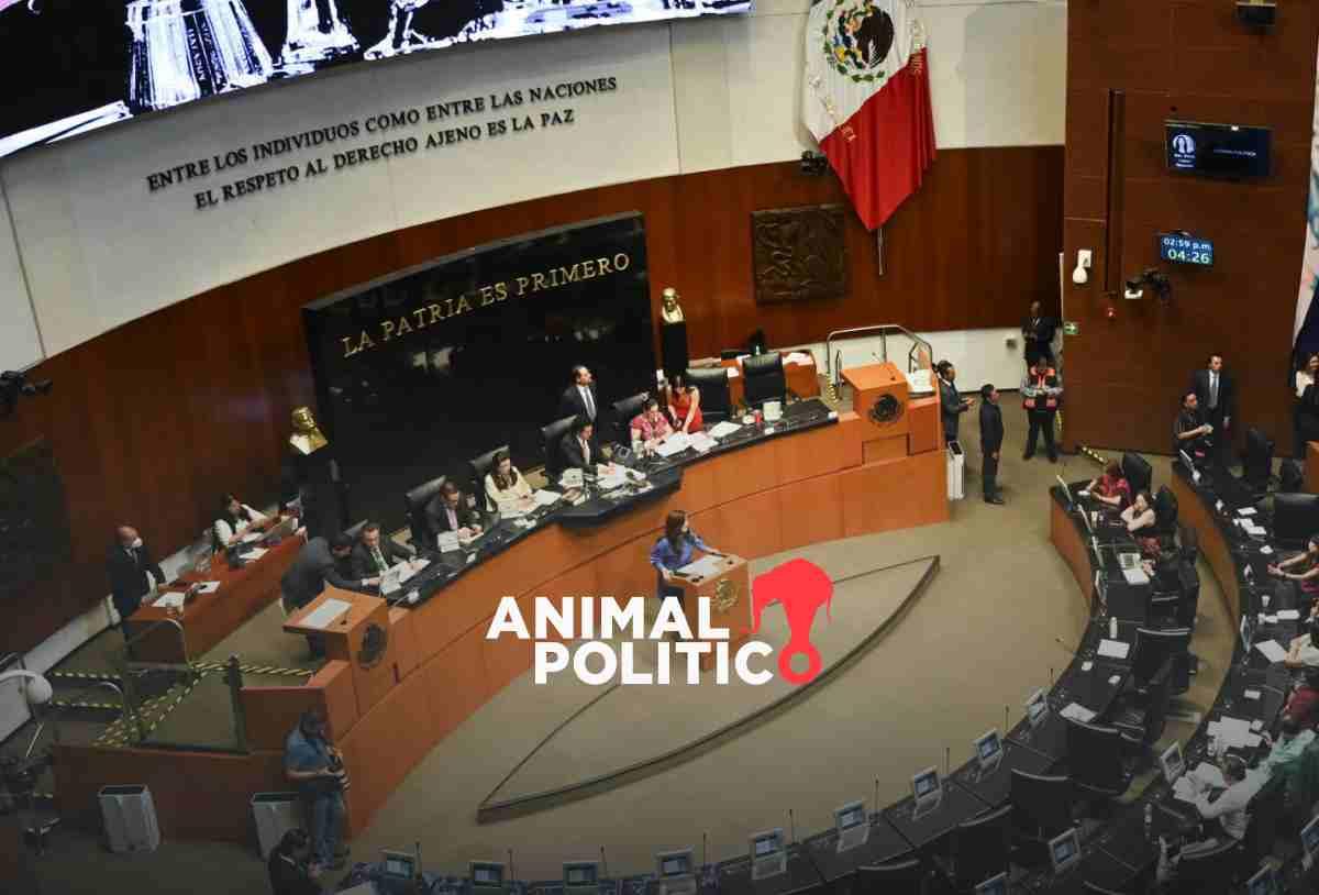 INE reparte plurinominales del Senado; confirma el escaño de Javier Corral y baja a Dante Delgado