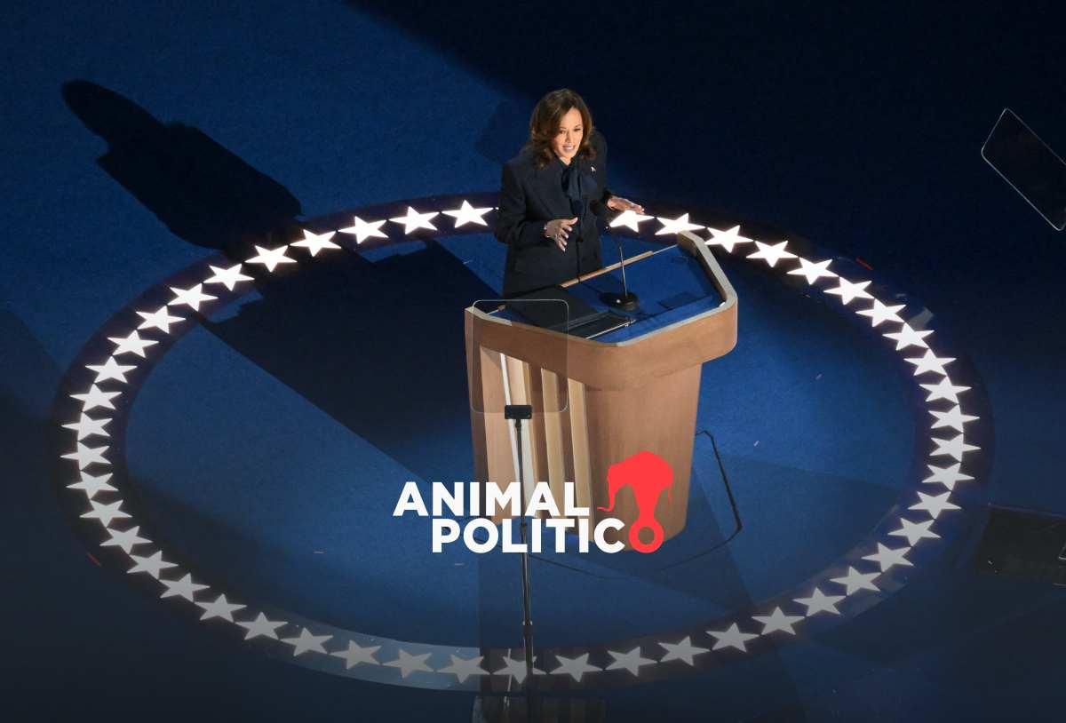 "Prometo ser presidenta de todos los estadounidenses", Kamala Harris acepta la candidatura demócrata