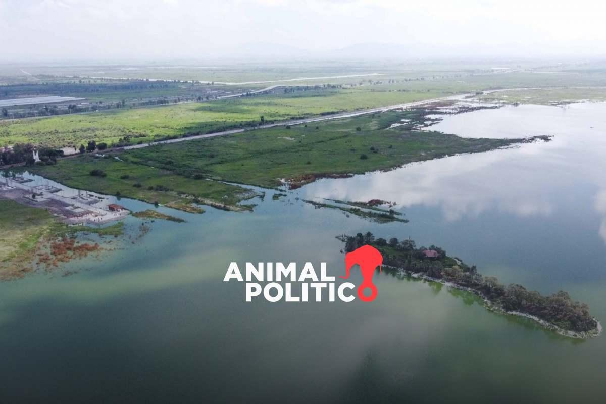 AMLO y Sheinbaum inauguran el Parque Ecológico Lago de Texcoco seis años después de cancelar el NAIM