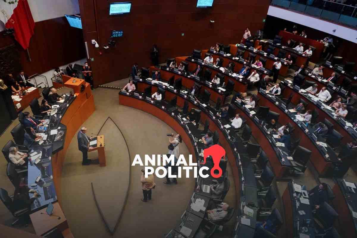 Más de 70 personas llegarán a la próxima Legislatura por acción afirmativa