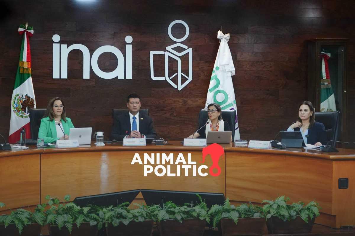 INAI pide a diputados frenar su desaparición; ofrece revisar sus errores y modernizarse