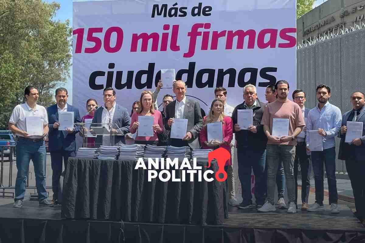 Marea Rosa y otras organizaciones presentan al TEPJF 152 mil firmas contra la sobrerrepresentación 