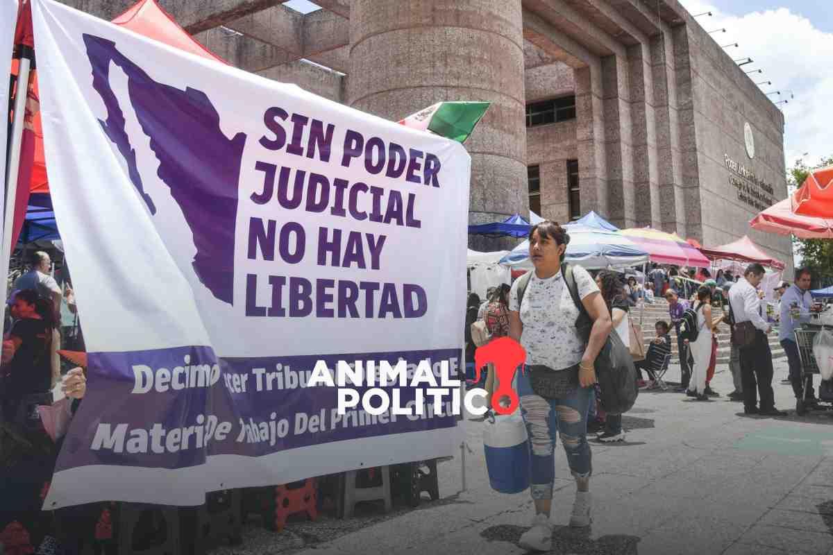 "Sólo asuntos urgentes": paro del Poder Judicial deja en el aire miles de casos en todo el país