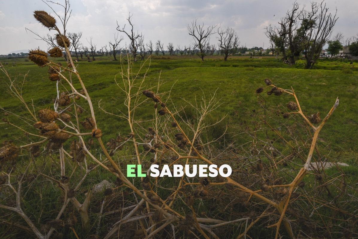 Disminuyó la sequía, pero persisten problemas de manejo del agua y altas temperaturas 