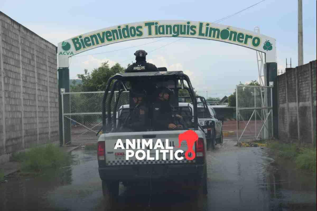 Tras denuncias por extorsión, gobierno de Michoacán asume control de tianguis limonero de Apatzingán