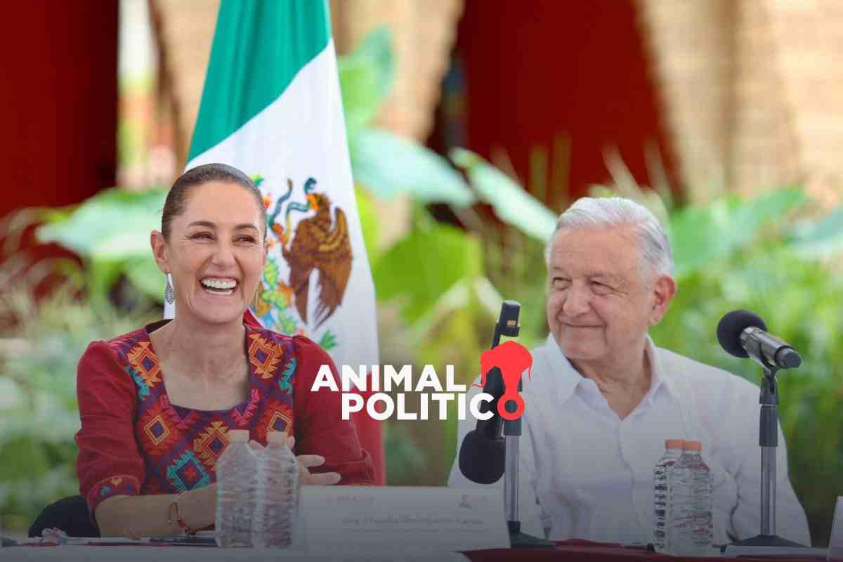 Sin dinero extra y con mesa de coordinación, así será la transición entre AMLO y Sheinbaum