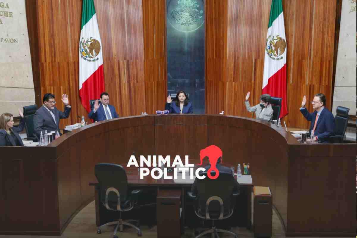 Tribunal Electoral rechaza anular elección presidencial; declarará legítimo triunfo de Sheinbaum