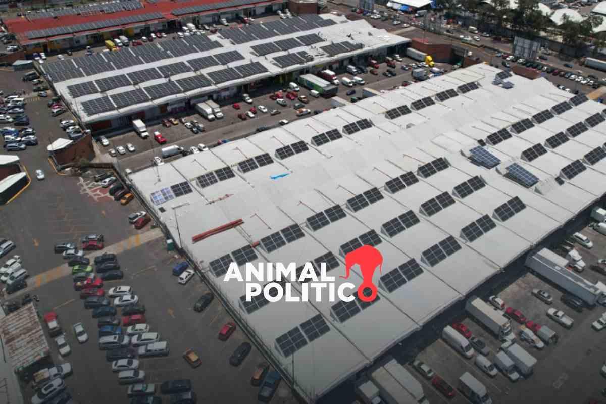 Luces de la ciudad: los proyectos de energías de las energías que los alumbran a la CDMX