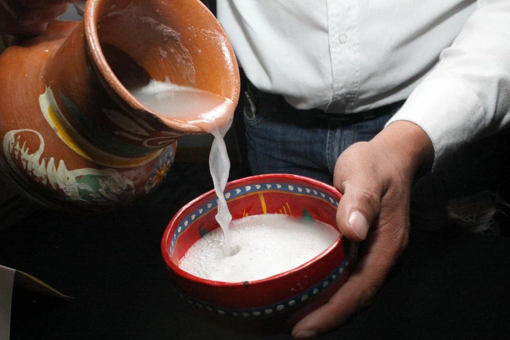 ¡Festival del Pulque, Gastronomía Típica y Mezcal! más de 200 variedades de mezcal en CDMX