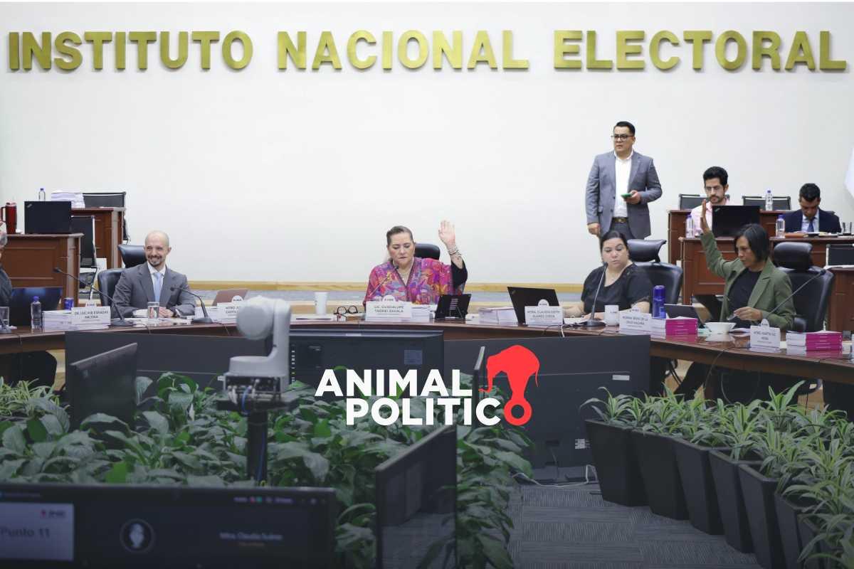 INE no ha sido notificado de la suspensión al proceso de elección de juzgadores: Guadalupe Taddei