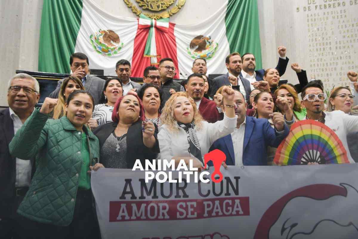 Morena y aliados tienen mayoría en al menos 20 congresos para aprobar la reforma judicial