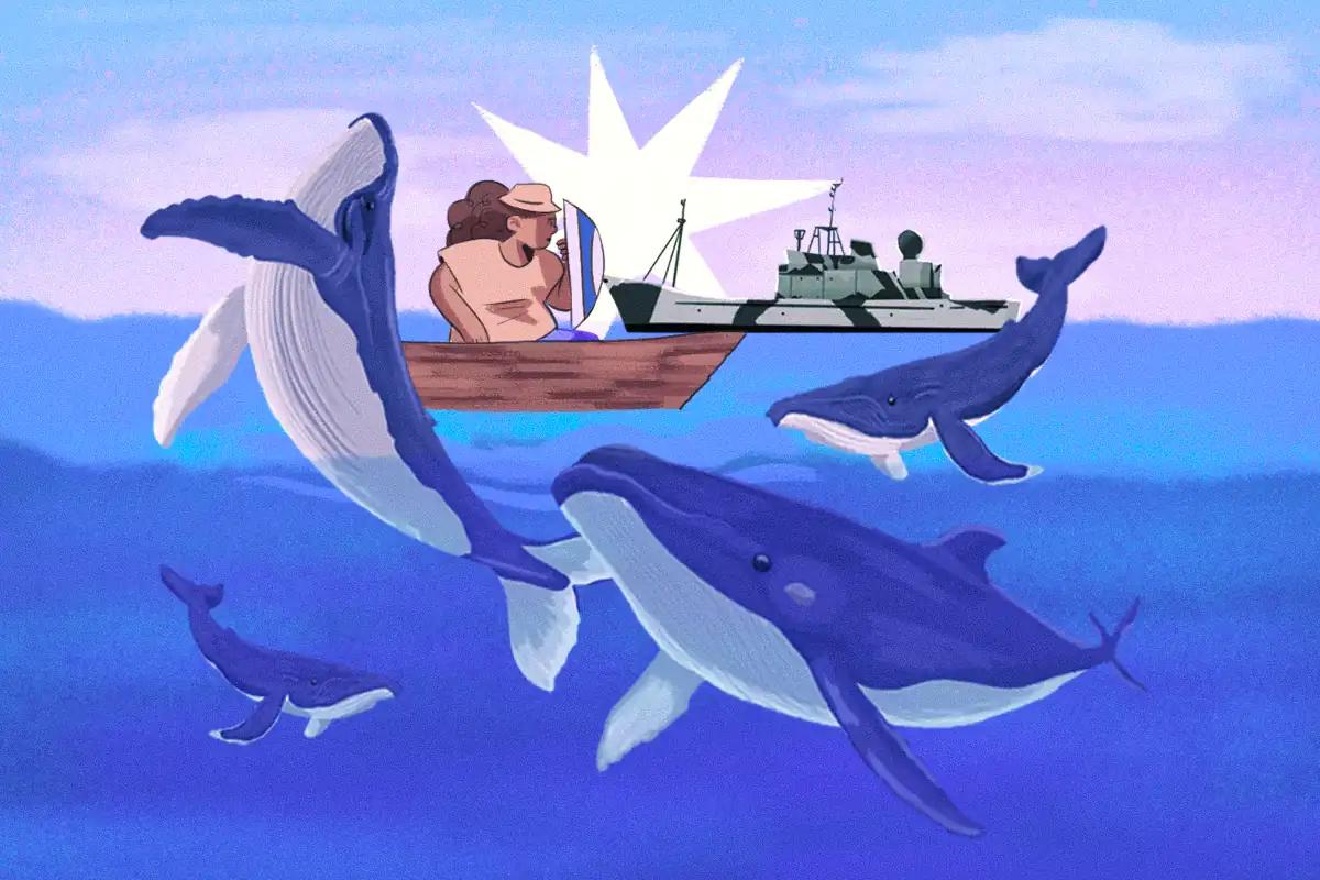 México pone en riesgo a las ballenas con un peligroso megaproyecto en el Golfo de California