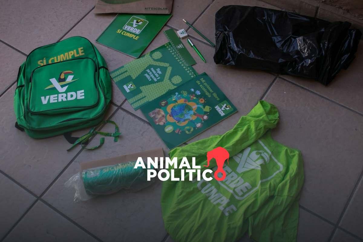 Partido Verde fue el menos ecologista, incumplió normas de reciclaje en precampaña y campaña